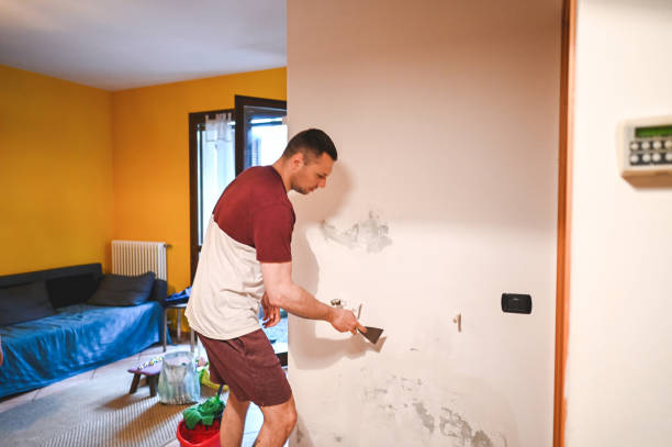 Home Mold Removal in Placentia, CA